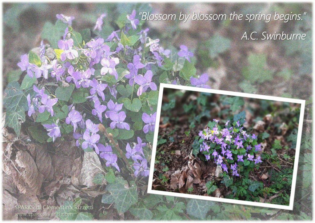 Easter Holidays – SPARKS EVENTI